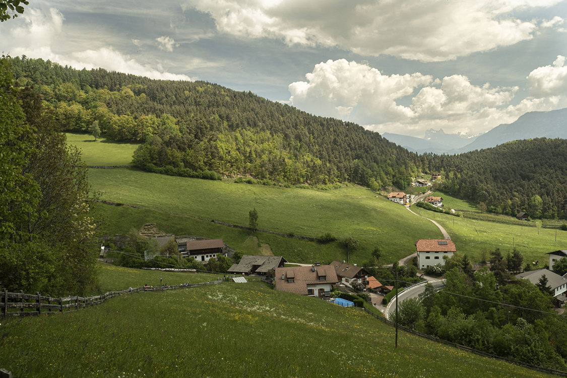 P5120334 - Copia.jpg